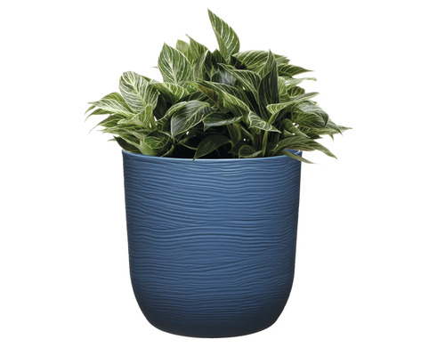 Pflanze in einem strukturierten Übertopf