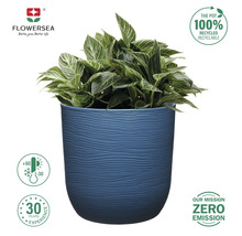 "Blumentopf mit Pflanze