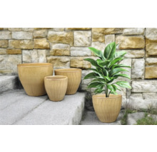 Anordnung von vier Pflanzgefäßen auf einer Steintreppe mit einer Pflanze in einem der Gefäße.