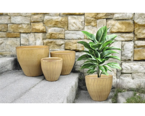 Anordnung von vier Pflanzgefäßen auf einer Steintreppe mit einer Pflanze in einem der Gefäße.