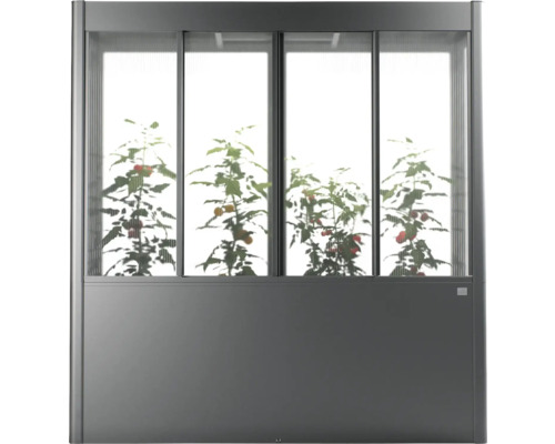 Gewächshaus mit Pflanzen