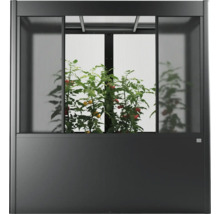 Hochbeet mit Gewächshausaufsatz und Tomatenpflanzen