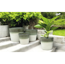 Verschieden große Pflanzgefäße auf einer Treppe im Außenbereich.