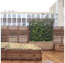 Terrasse mit Holzboden, Holzzaun und bepflanzten Holzkästen