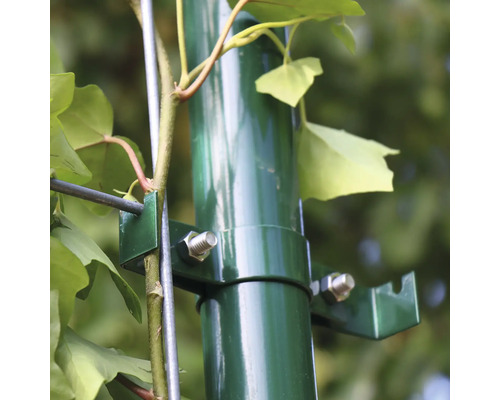 Detailansicht einer grünen Rankhilfe mit Befestigungselementen