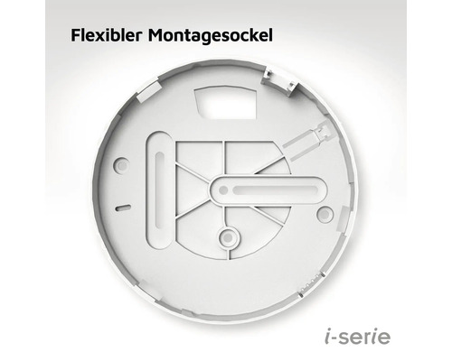 Flexible Montageplatte für die Deckenmontage