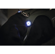 Hundegeschirr mit LED-Licht zur besseren Sichtbarkeit