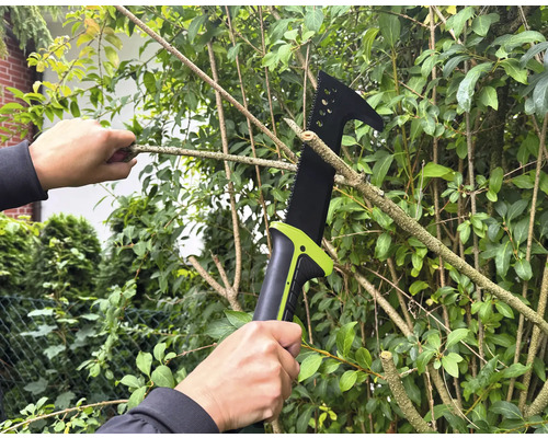 Person schneidet mit einer Astsäge Äste an einem Baum