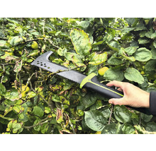 Person hält eine Astsäge in einem Baum.