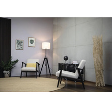 Einrichtungsidee mit zwei Sesseln, einem Teppich, einer Stehlampe und dekorativen Elementen