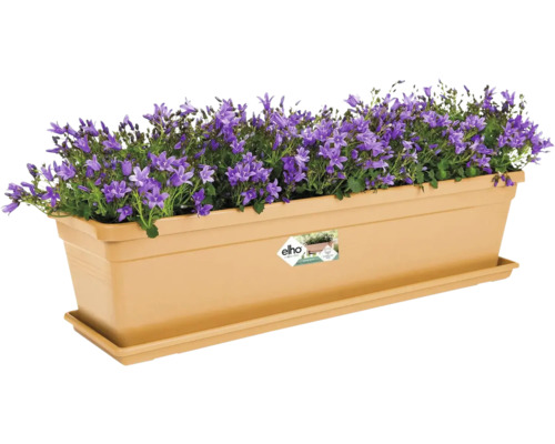 Blumenkasten mit lila Glockenblumen