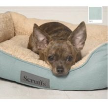 Hund liegt in einem Hundebett mit Scruffs Logo