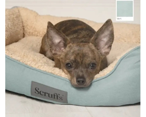 Hund liegt in einem Hundebett mit Scruffs Logo