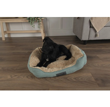 Schwarzer Hund liegt in einem Hundebett von Scruffs