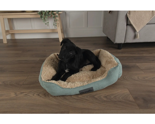 Schwarzer Hund liegt in einem Hundebett von Scruffs