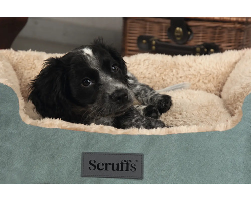 Schwarzer Welpe liegt im Scruffs Hundebett.