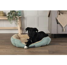 Ein schwarzer Hund liegt in einem hellblauen Hundebett mit beigem Innenfutter.