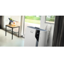 DeLonghi Pinguino Klimaanlage in einem hellen Raum mit Tisch und Blumen