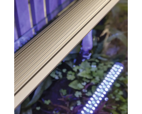 Aquariumbeleuchtung mit LED-Leiste
