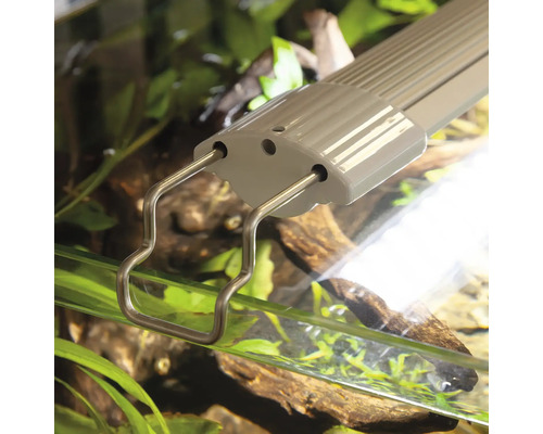 Aquarienleuchte mit Halterung am Aquarium befestigt