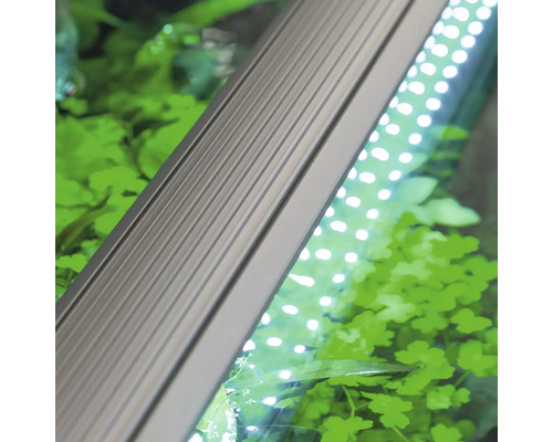 Nahaufnahme einer Aquarium LED-Leuchte über Wasserpflanzen