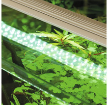 Aquarium mit LED Beleuchtung und Pflanzen