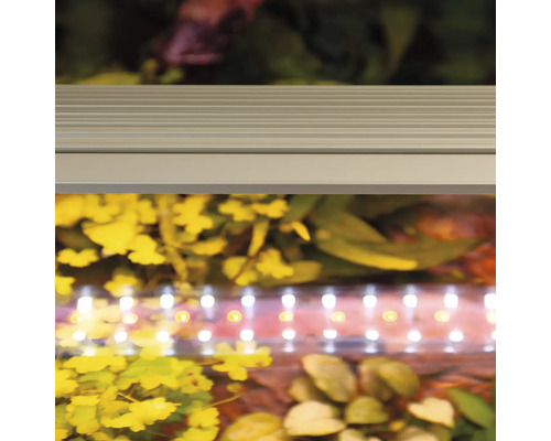 Aquarium mit LED-Beleuchtung