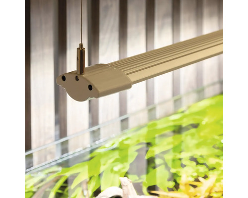 Aquariumleuchte mit Aufhängung über einem Aquarium