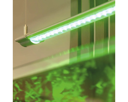 LED-Leuchte zur Pflanzenbeleuchtung mit Aufhängung