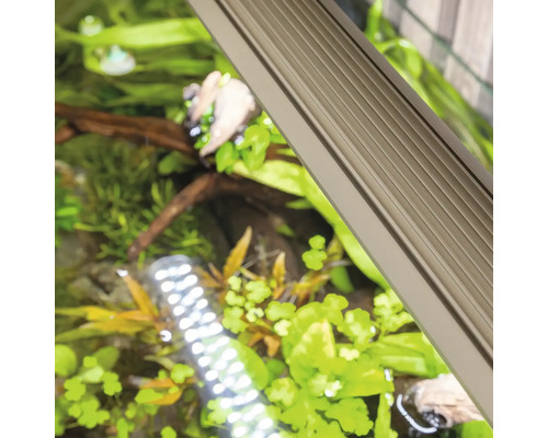 Nahaufnahme einer Aquariumlampe über einem bepflanzten Aquarium