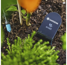 Gardena Smart Sensor im Gartenbeet zur Bodenfeuchtemessung