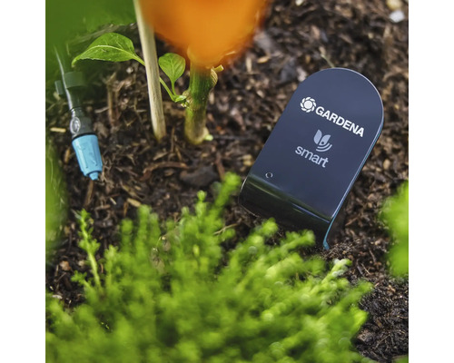 Gardena Smart Sensor im Gartenbeet zur Bodenfeuchtemessung