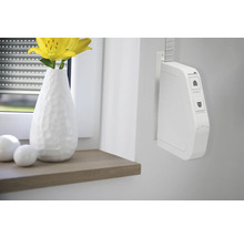 Elektrischer Gurtwickler neben einer Fenstervase mit gelben Blumen