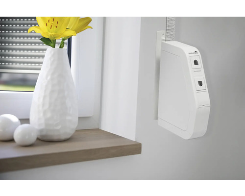 Elektrischer Gurtwickler neben einer Fenstervase mit gelben Blumen