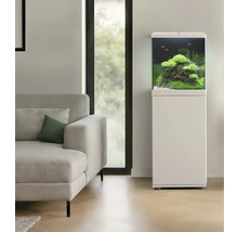 Aquarium mit Unterschrank und Bepflanzung in Wohnzimmerumgebung