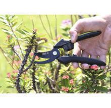 Eine Hand benutzt eine Gartenschere der Marke For Q zum Schneiden eines stacheligen Astes.