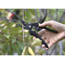 Eine Hand hält eine Gartenschere, die einen Zweig schneidet.