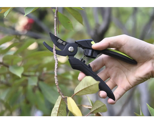 Eine Hand hält eine Gartenschere, die einen Zweig schneidet.