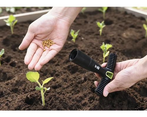 Eine Hand hält Saatgut über einem Beet, die andere Hand hält ein Pflanzwerkzeug.