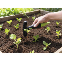 Garten Szene mit Saatgut Pflanzwerkzeug im Einsatz in einem Hochbeet mit jungen Pflanzen.