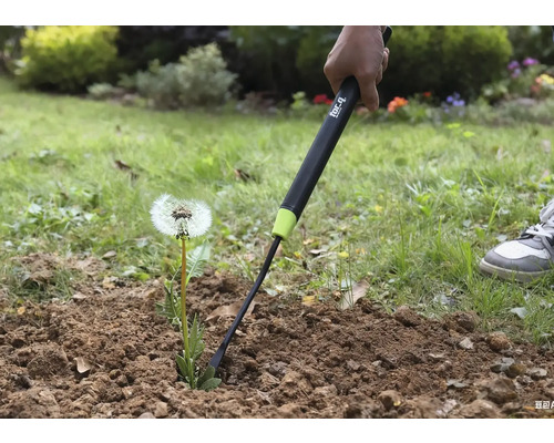Nahaufnahme einer Person, die mit einem Unkrautstecher einen Löwenzahn aus dem Boden entfernt