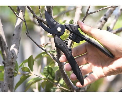 Gartenarbeitsschere beim Schneiden eines Astes