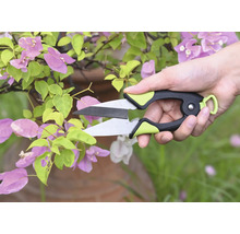 Gartenschere schneidet Pflanze