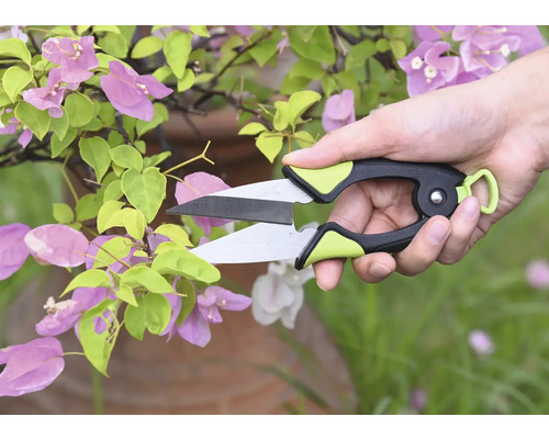 Gartenschere schneidet Pflanze