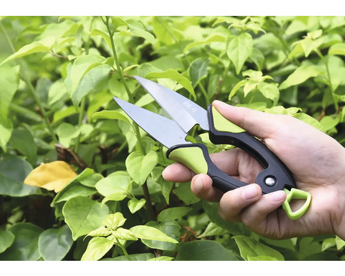 Hand mit Gartenschere vor grünen Pflanzen