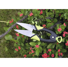 Blumenschere zum Beschneiden von Pflanzen