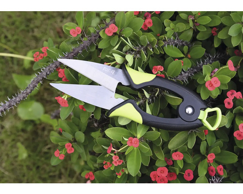 Blumenschere zum Beschneiden von Pflanzen