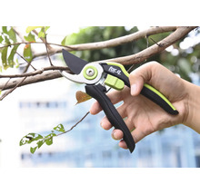 Nahaufnahme einer Hand, die eine Astschere beim Beschneiden eines Zweigs hält