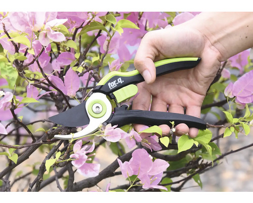 Eine Person benutzt eine Astschere von for_q, um einen blühenden Zweig zu schneiden.