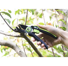 Gartenschere schneidet einen Ast